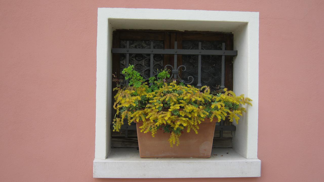 La Residence Da Caterina Vittorio Veneto Exterior photo